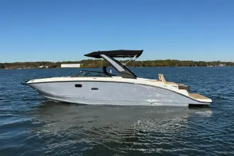 Sea Ray SDX 290 