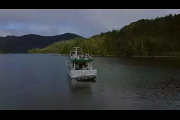 Thumbnail von Falcon 62 Miss Brizz