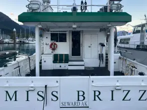 Thumbnail von Falcon 62 Miss Brizz