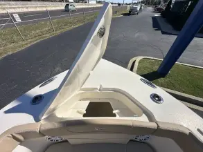 Thumbnail von Scout 240 XSF