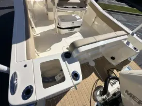 Thumbnail von Scout 240 XSF