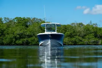 Thumbnail von Boston Whaler 330 Outrage