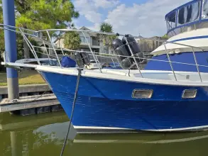 Thumbnail von Nova Moorea 48