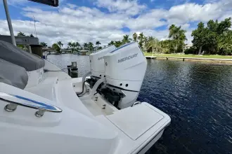 Thumbnail von Tiara Yachts 34LX