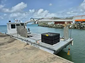 Thumbnail von Sea Truck Aluminium Barge Sea Truck