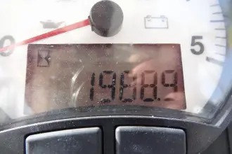 Thumbnail von Leopard 50 Dreamcat II