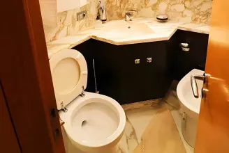 Thumbnail von Maiora 20 Lady P