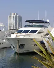 Astondoa 82 GLX Barbasilda