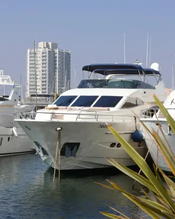Astondoa 82 GLX Barbasilda