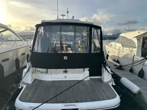 Thumbnail von Bavaria S36 Coupe Dignity