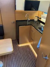 Thumbnail von Bavaria S36 Coupe Dignity