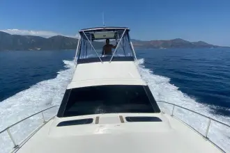 Thumbnail von Luhrs 32 Tournament