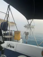 Thumbnail von Alliaura Feeling 44