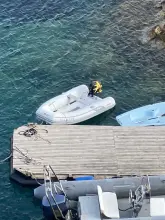 Thumbnail von Alliaura Feeling 44