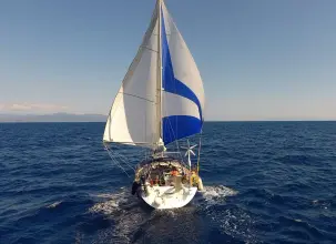 Thumbnail von Alliaura Feeling 44