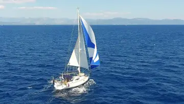 Thumbnail von Alliaura Feeling 44