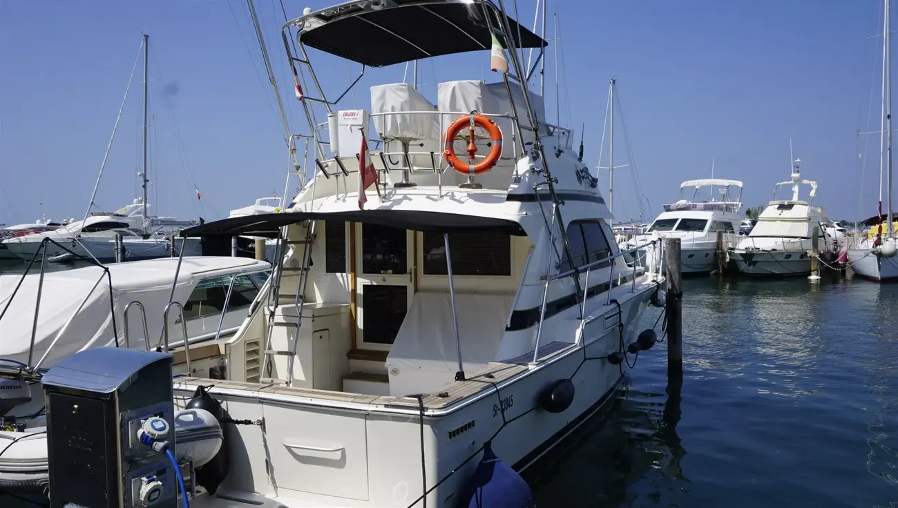 Thumbnail von Bertram 37