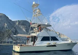 Viking 50 Open