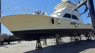 Thumbnail von Viking 50 Open