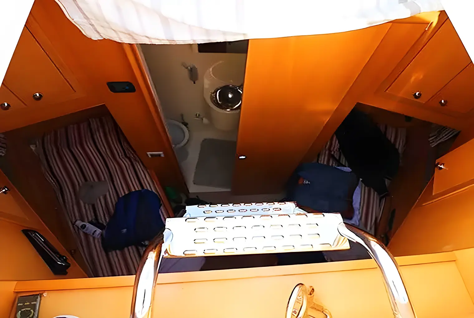 Thumbnail von Maiora 20 S Lady Rose