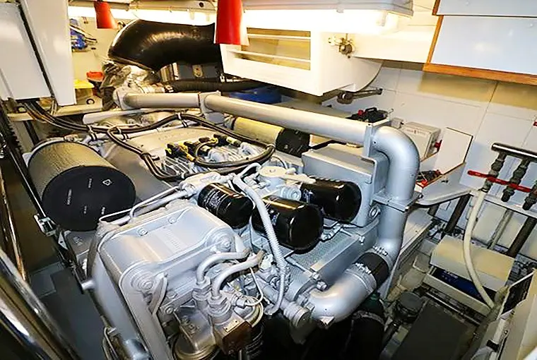 Thumbnail von Maiora 20 S Lady Rose