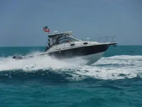 Thumbnail von Wellcraft 290 Coastal