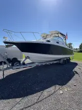 Thumbnail von Wellcraft 290 Coastal