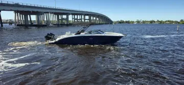 Sea Ray SDX 290 Outboard