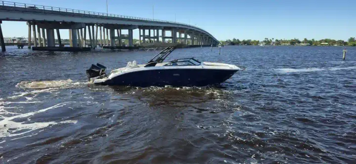 Sea Ray SDX 290 Hors-Bord