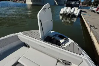 Thumbnail von Sea Ray SDX 270 Dıştan Takma Motor