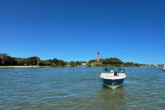 Thumbnail von Sea Ray SDX 270 Dıştan Takma Motor