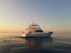 Thumbnail von Viking 52 Convertible