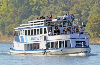 Thumbnail von Tagespassagierschiff 221 Personen, Rhein-zertifiziert