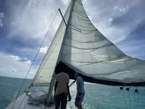 Thumbnail von Jeanneau Sun Odyssey 519 Ivoire