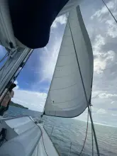 Thumbnail von Jeanneau Sun Odyssey 519 Ivoire