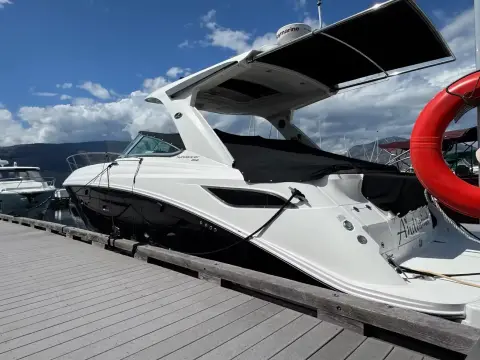 Sea Ray 350 Sundancer  Andiamo