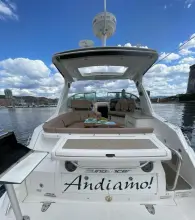 Thumbnail von Sea Ray 350 Sundancer  Andiamo