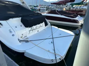 Thumbnail von Sea Ray 350 Sundancer  Andiamo