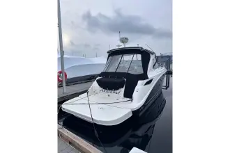 Thumbnail von Sea Ray 350 Sundancer  Andiamo