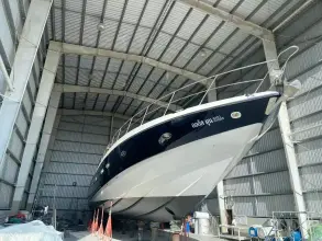 Thumbnail von Sunseeker Predator 80 August Moon