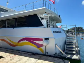 Thumbnail von Palmer Marine 68 Raised Pilothouse ELOQUENT