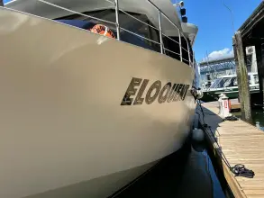Thumbnail von Palmer Marine 68 Raised Pilothouse ELOQUENT