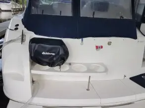 Thumbnail von Cruisers Yachts 3575 Esprit Off The Hook 2