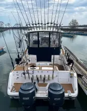 Thumbnail von Grady White Express 330