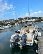 Thumbnail von Grady White Express 330