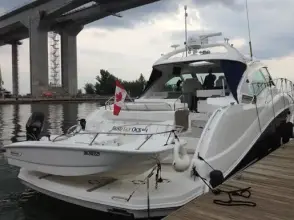 Thumbnail von Sea Ray 580 Sundancer Sand Say Ocean