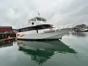 Thumbnail von Custom 15ft 1990 Palmer Marine 68