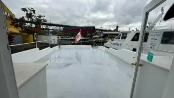 Thumbnail von Custom 15ft 1990 Palmer Marine 68