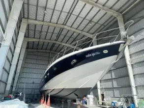 Thumbnail von Custom 15ft 2000 Sunseeker Predator 80 August Moon