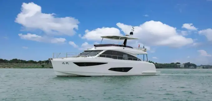 Custom 55